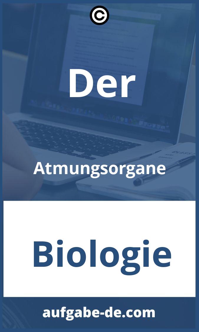 Der Atmungsorgane Aufgaben PDF