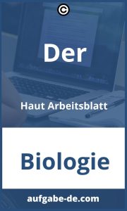 Aufgaben der Haut - Arbeitsblatt