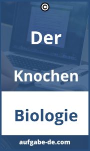 Knochenaufgaben: Erfahren Sie Alles über die Funktionen der Knochen