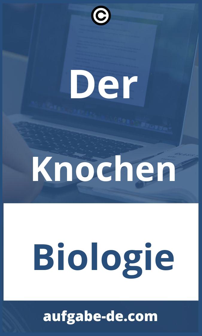 Der Knochen Aufgaben PDF