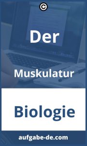 5 wichtige Aufgaben der Muskulatur - Schlüssel zu gesunder Bewegung