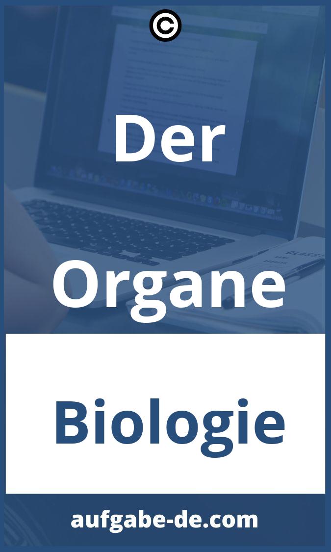 Der Organe Aufgaben PDF