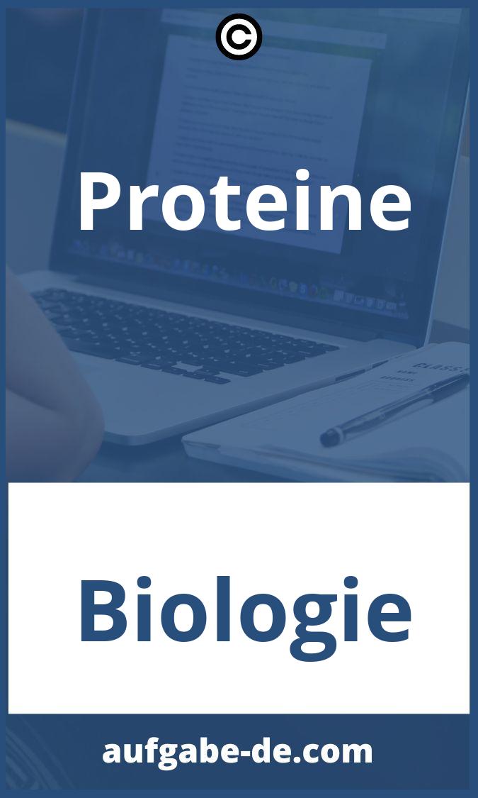 Proteine Aufgaben PDF