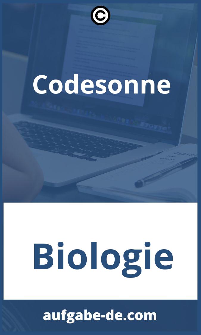 Codesonne Aufgaben PDF