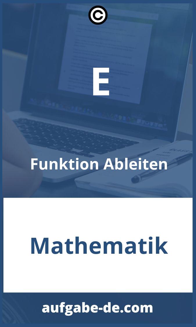 E Funktion Ableiten Aufgaben PDF