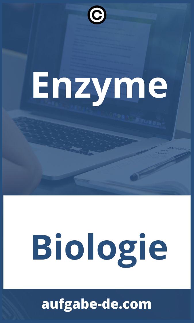 Enzyme Aufgaben PDF