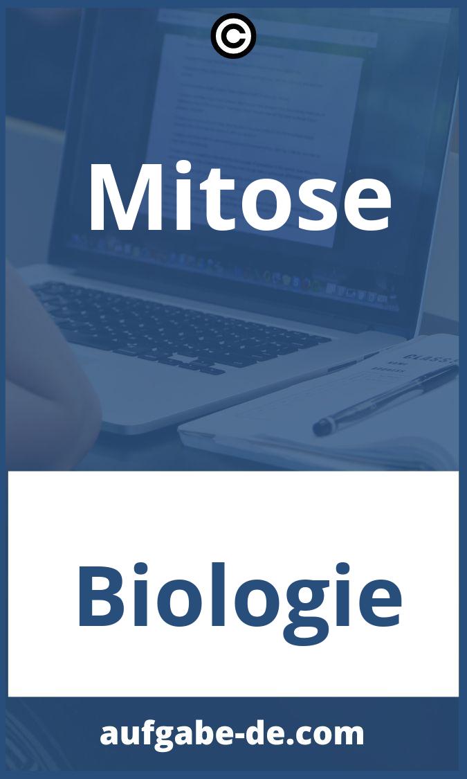 Mitose Aufgaben PDF