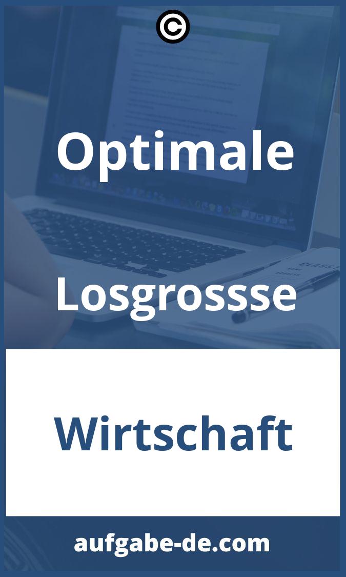 Optimale Losgröße Aufgaben PDF