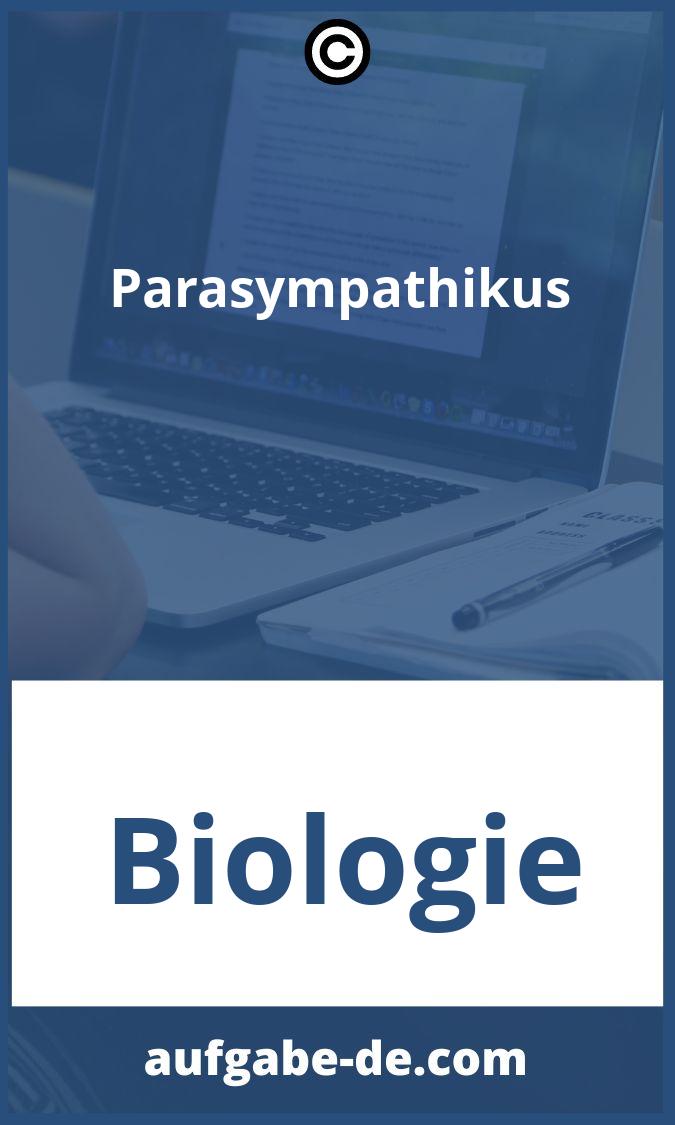 Parasympathikus Aufgaben PDF