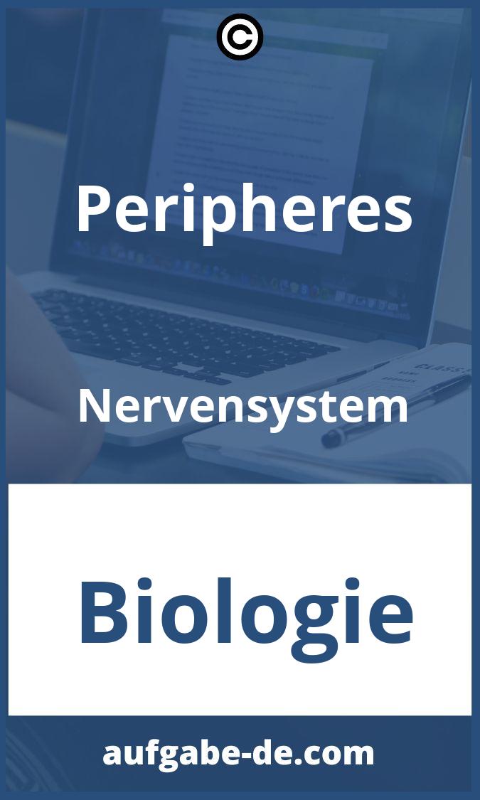 Peripheres Nervensystem Aufgaben PDF