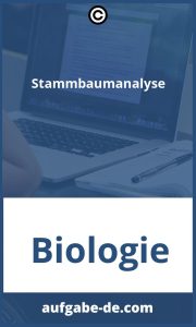 Stammbaumanalyse-Übungen: So einfach erlernen Sie die Grundlagen!