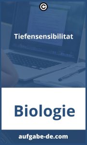 Tiefensensibilität Übungen: Einfache und Wirksame Wege, um Ihre Emotionale Intelligenz zu Steigern