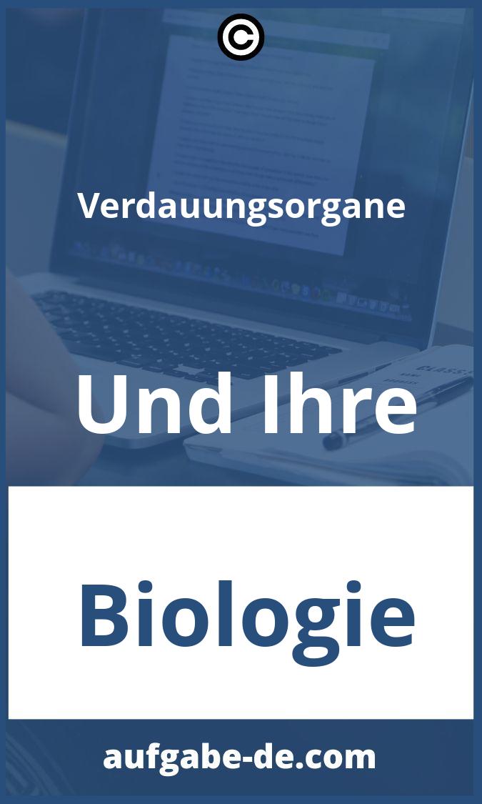 Verdauungsorgane Und Ihre Aufgaben PDF