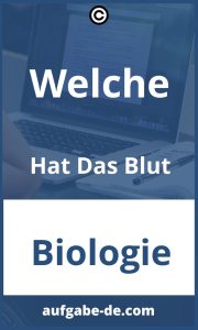 Erfahren Sie mehr über die Aufgaben des Blutes: Alles Wichtige in einem Leitfaden