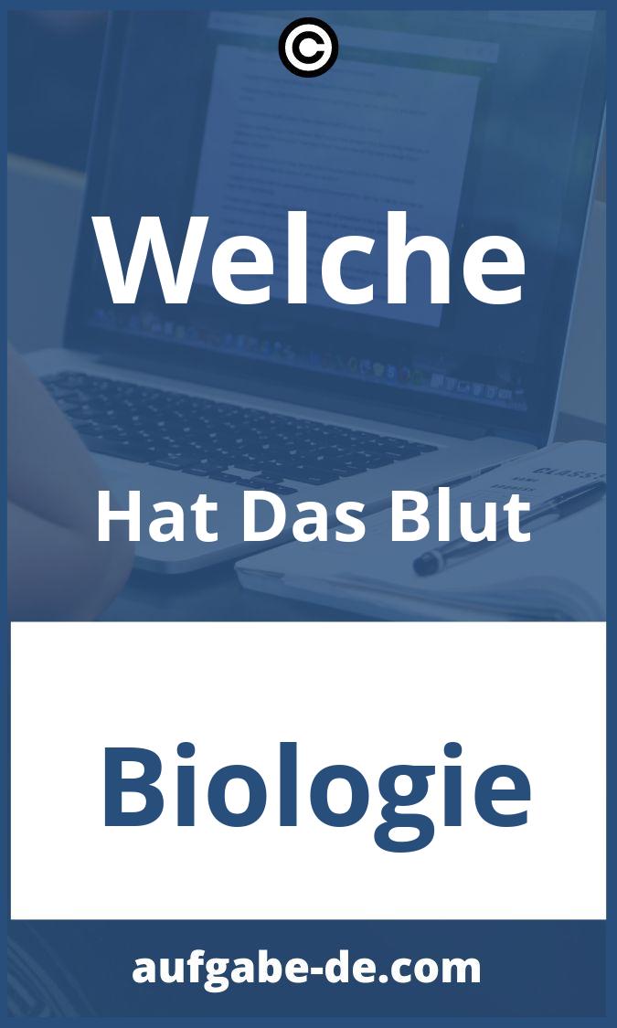 Welche Hat Das Blut Aufgaben PDF