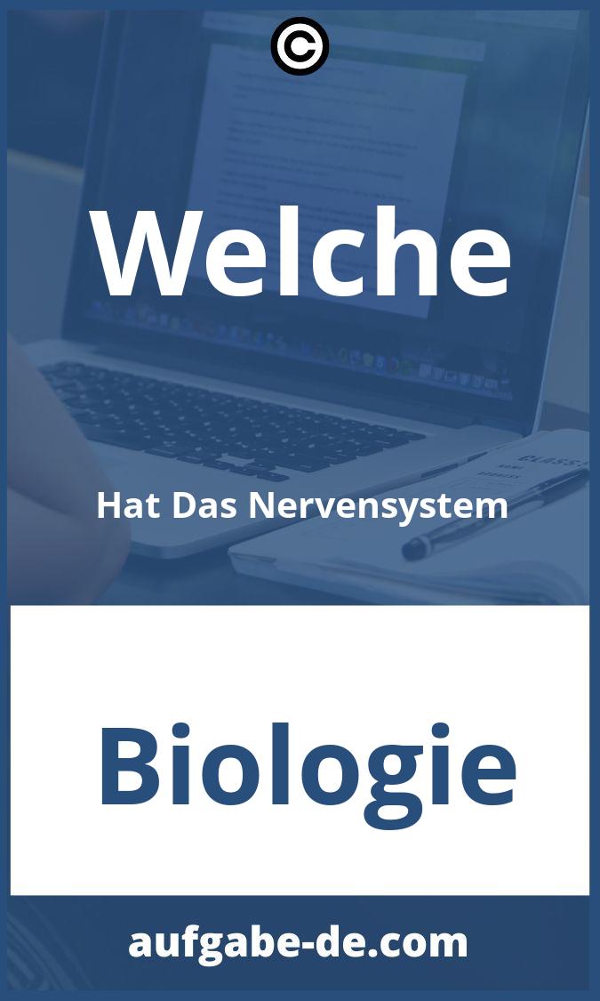 Welche Hat Das Nervensystem Aufgaben PDF