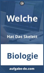 Welche Aufgaben Hat Das Skelett? - Eine Übersicht der Funktionen des Skelettsystems