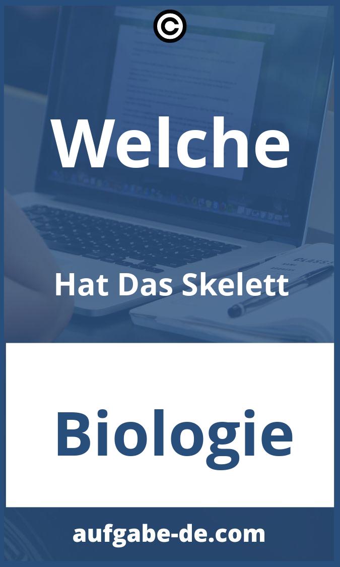 Welche Hat Das Skelett Aufgaben PDF