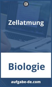 Zellatmung Aufgaben und Lösungen: Alle Antworten auf Ihre Fragen