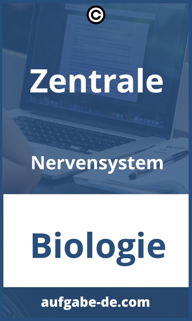 Zentrale Nervensystem Aufgaben PDF